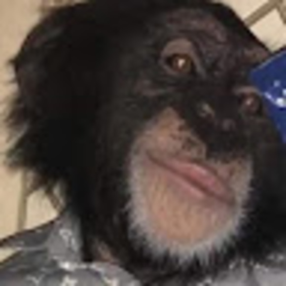 Meet your Posher, O - Picture 1 of 1